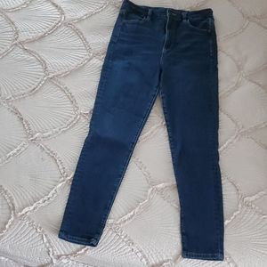 American Eagle Outfitters Curve Skinny Jeans